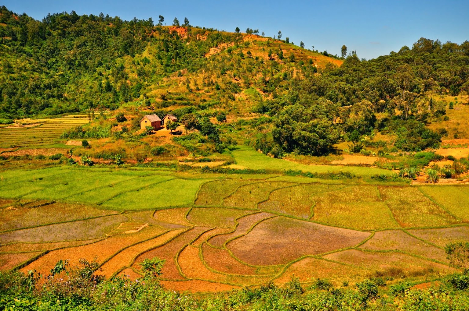Fianarantsoa (première partie)