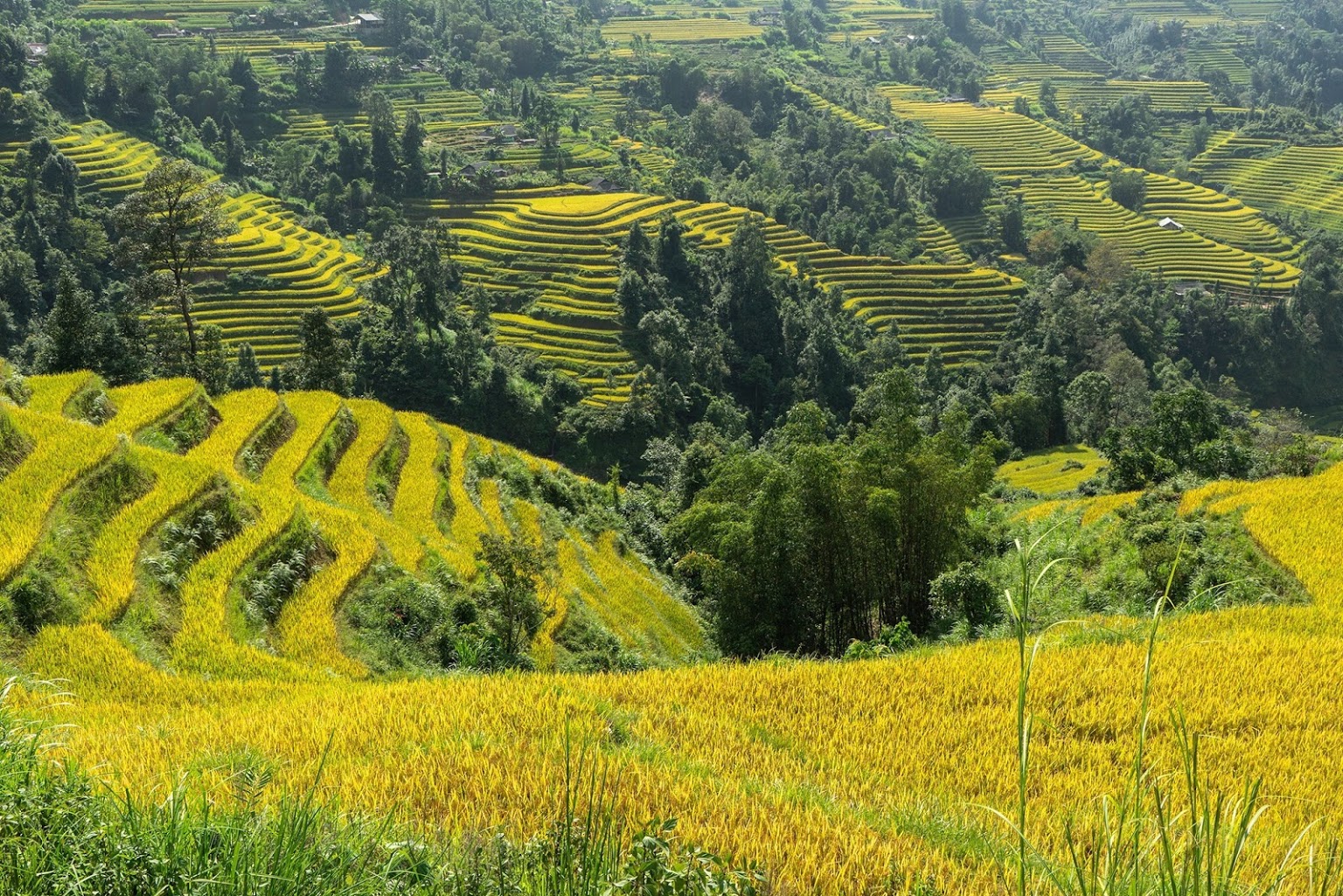parcours vietnam