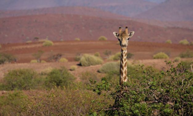 Parcours Namibie