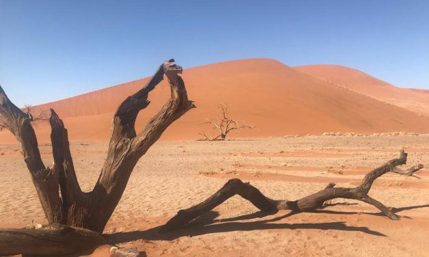 Dunes de sossusvlei